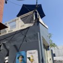 피에트라 | 연남 피에트라 젤라또 아말피 레몬 내돈내산 솔직후기 | 맛·가격·블루리본