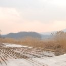 합수농장 이미지