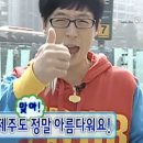 선셋티아 이미지