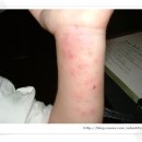 정환농장 이미지