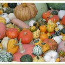 하늘내린농장 이미지