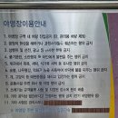 계곡과소나무 | 구미금오산야영장 직접 다녀온 후기 계곡과 숲이 함께 있는 힐링 공간