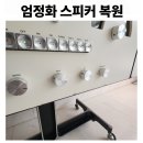 [엄정화스피커 복원] 브리온베가 턴테이블 라디오포노그라포 용산 작업 후기
