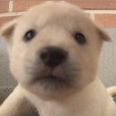 대천리중학교 | 아마 이번년도 마지막 글