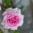 실로암복지용구 이미지