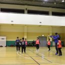 강남스포츠문화센터 대체육관 이미지