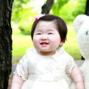 서진씨푸드 Daum카페