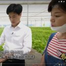 일신농장 네이버블로그