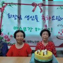 백조경로당 Daum카페