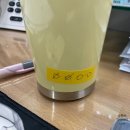까사델솔 | 7월 둘째주 비가 끊임없이 내리는 직장 일상 .. ☔🌧️