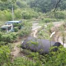 영달농장 이미지