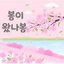 봄이 왔나 봄 이미지