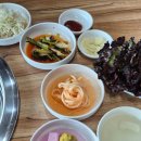 금수강산막국수숯불닭갈비 | 가평 맛집 금수강산막국수 숯불닭갈비 가평본점 내돈내산 찐 방문후기