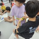 경희대 한율 태권도장 이미지