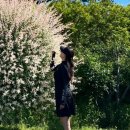 플레이비치 이미지