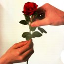 9월 27일~28일 제211회 오쇼 자연명상캠프＜못생겼다고 버리지 마라! 상담사 강사 소진예방, 전생최면, Funny 명상s!＞ 이미지