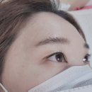 르헤르브로우 | 배곧 속눈썹 전문샵[르헤르 브로우]예쁘게 속눈썹펌 하고 왔어요♥