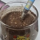 롯데리아 더블엑스투버거에 패티하나더 토마토 두개추가/나쁜여자 나쁜남자가 싫은듯