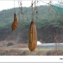 우슬재황토촌 이미지