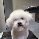 미니멍 살롱 이미지