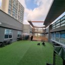 헬로우, 마루네 애견운동장 이미지