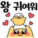 스노우가든 이미지