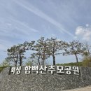 안양 가족장 후기, 조문객 규모에 맞춰 차분히 준비한 장례