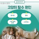 봉곡동물병원 이미지