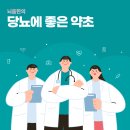 (유)심신통합면역연구소 | 당뇨에 좋은약초 혈당 관리를 위한 자연 성분과 근본 치료법