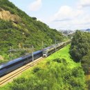 서화상회 이미지