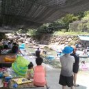 고로쇠민박 네이버블로그