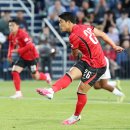 월드컵 스포츠조선