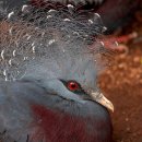 그린노래연습장 이미지