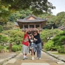 영주시장애인종합복지관4 | 영주 부석사 여행 후기 봉사자 가을나들이 함장종합복지관