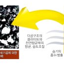 항균농장 이미지