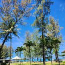 아모라 | [아이랑 푸켓] 아모라 비치 리조트 2박 후기 / 방타오 비치 즐기기 / 리노베이션 룸으로 예약 필수