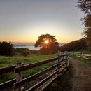 소원목장 이미지