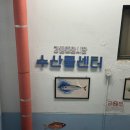 회41호 | [강릉] 은총횟집 | 강릉 중앙시장 회 포장부터 떡볶이, 팟타이까지 중앙시장 포장코스 추천