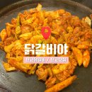 오투에스 | 판교 닭갈비 맛집 내돈내산 후기 : 닭갈비야