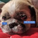 투썸플레이스(출장소점) 이미지