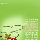 중앙-24 네이버블로그