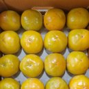 무수과일야채 이미지