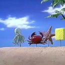 코타제주 이미지