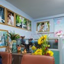 아리랑국제결혼 - 종로구 삼봉로 81 | 아리랑국제결혼