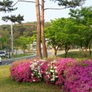 숙지공원 이미지