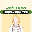 서울특별시 성북구 보문동 교정치과 총정리