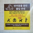 천지연산책로(폭포안) | 서귀포 천지연폭포 산책 여행 팁