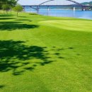 세천강변 이미지