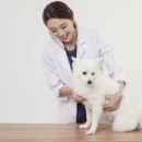 괴정동물병원 이미지