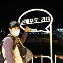 한일애견